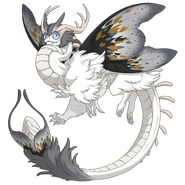 Silver Blaze AetherM.png (113 KB) Silver Blaze on a male Aether