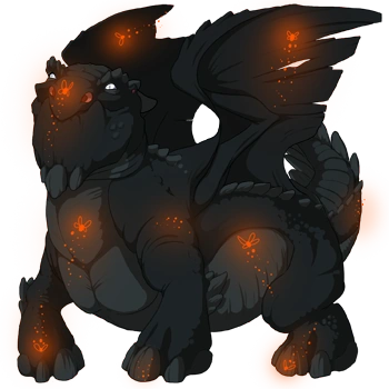 Carrot Firefly on a male Snapper