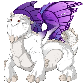 Amethyst Butterfly on a male Snapper