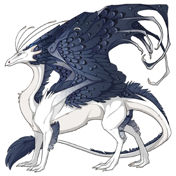 Overcast Edged on a male Skydancer