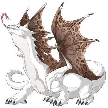 Latte Clouded on a male Bogsneak