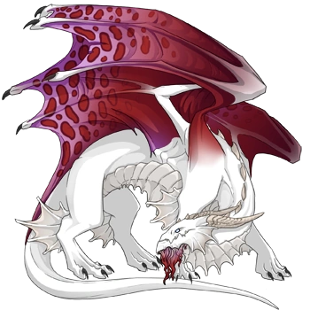 Cerise Clouded on a male Guardian