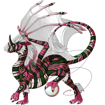 Watermelon Lionfish on a male Pearlcatcher