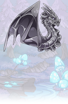 Nocturne Dragons