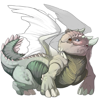 Silver Iridescent on a female Snapper