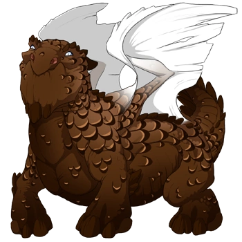 Chocolate Laced on a male Snapper