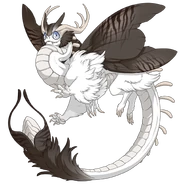 Slate Safari AetherM.png (108 KB) Slate Safari on a male Aether