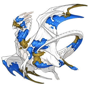 Lapis Koi on a male Nocturne