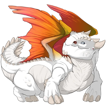 Fire Shimmer on a female Snapper