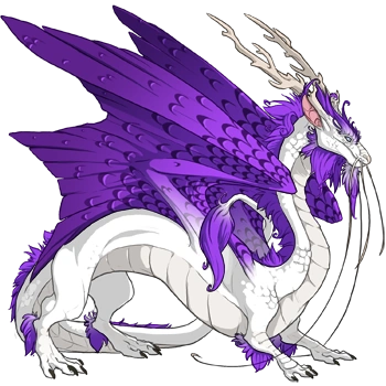 Nightshade Edged on a male Imperial