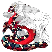 Cherry Mosaic on a male Auraboa