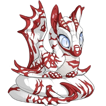 Carmine Crackle on a hatchling Spiral