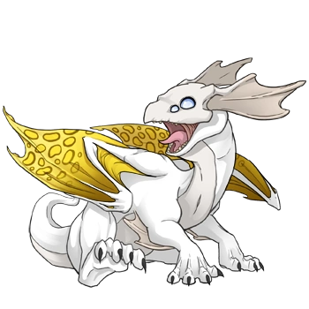 Lemon Clouded on a hatchling Mirror