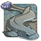 Grey Catshark - Arcane, Ice, Water