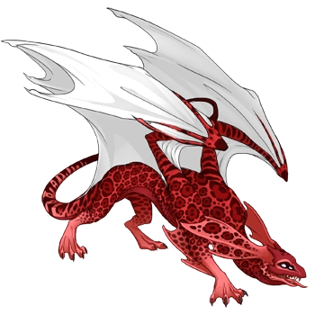 Strawberry Jaguar on a male Mirror