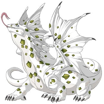 Crocodile Keel on a male Bogsneak