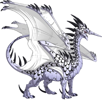 Orca Laced on a male Ridgeback