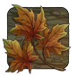 Red Maple Leaf - Autumn Dryad