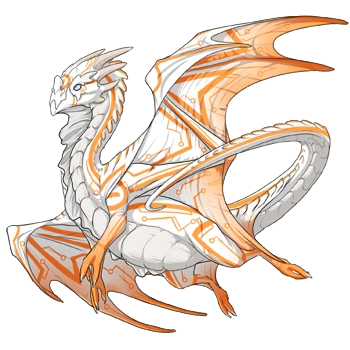 Sunset Circuit on a male Nocturne