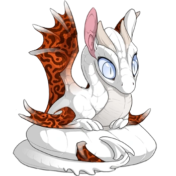 Terracotta Hypnotic on a hatchling Spiral