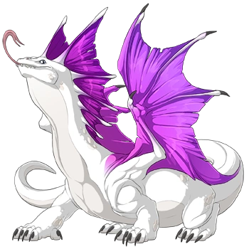 Orchid Shimmer on a male Bogsneak