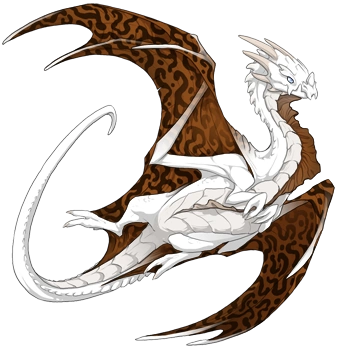 Chocolate Hypnotic on a female Nocturne