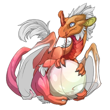 Tangerine Iridescent on a hatchling Pearlcatcher