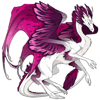 Fuchsia Flair on a female Skydancer