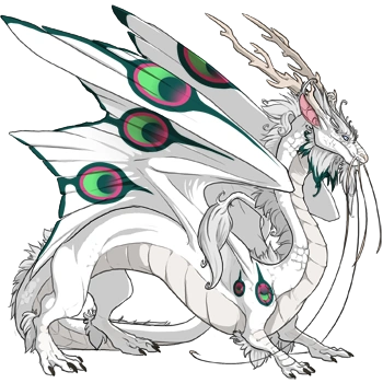 Watermelon Peacock on a male Imperial