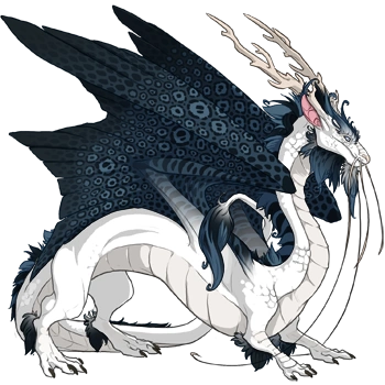 Denim Rosette on a male Imperial