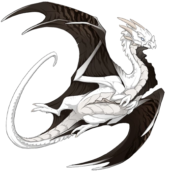 Oilslick Safari on a female Nocturne