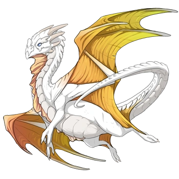 Gold Shimmer on a male Nocturne