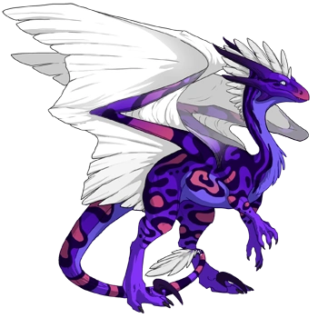 Grape Swirl on a female Wildclaw