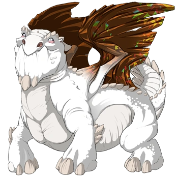 Chocolate Facet on a male Snapper