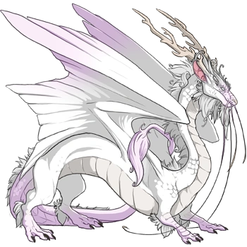 Pearl Points on a male Imperial