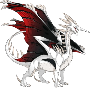 Obsidian Noxtide on a male Ridgeback