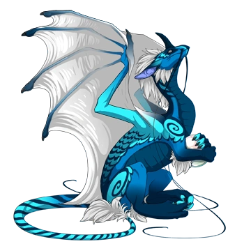 Caribbean Cherub on a female Pearlcatcher