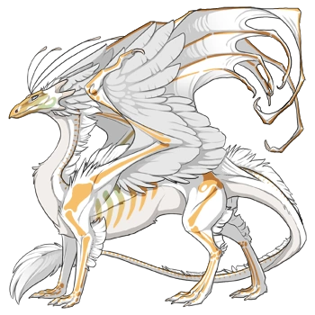 Buttercup Ghost on a male Skydancer