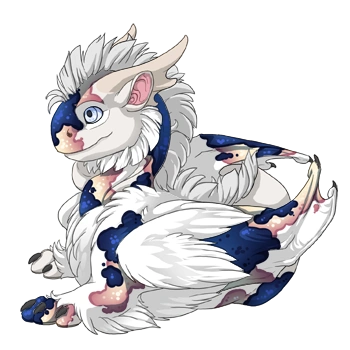 Navy Koi on a hatchling Tundra