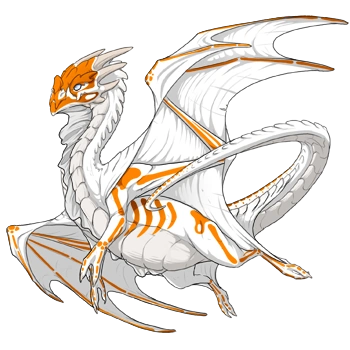 Saffron Ghost on a male Nocturne