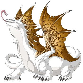 Gold Edged on a male Bogsneak