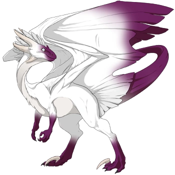 Mulberry Points on a male Wildclaw