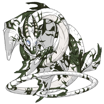 Forest Crackle on a male Spiral