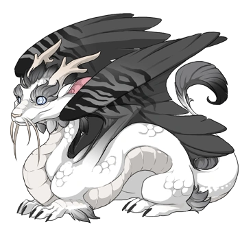 Charcoal Safari on a hatchling Imperial