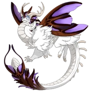 Auburn Saddle on a male Aether