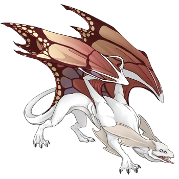 Coral Butterfly on a male Mirror