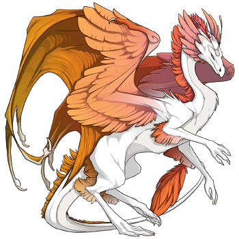 Orange Shimmer on a female Skydancer