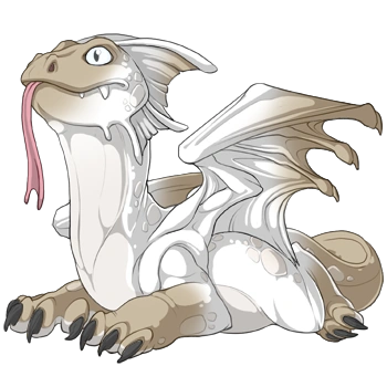 Beige Points on a hatchling Bogsneak