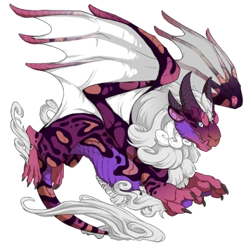 Mulberry Swirl on a male Obelisk