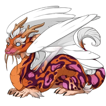 Orange Swirl on a hatchling Imperial